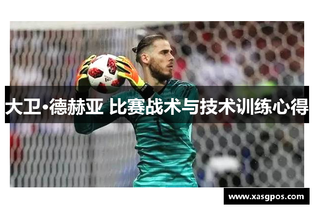 大卫·德赫亚 比赛战术与技术训练心得