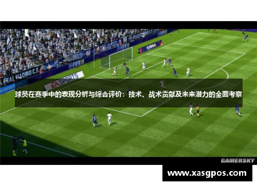 球员在赛季中的表现分析与综合评价：技术、战术贡献及未来潜力的全面考察