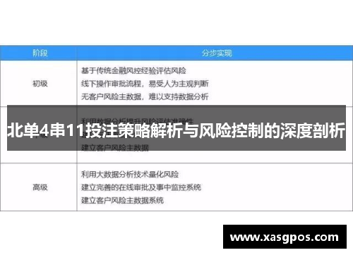 北单4串11投注策略解析与风险控制的深度剖析