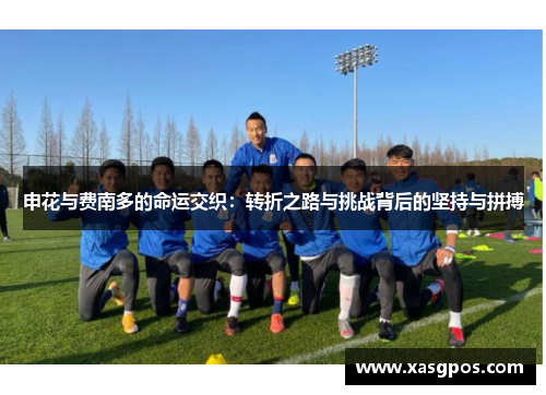 申花与费南多的命运交织：转折之路与挑战背后的坚持与拼搏